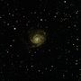 m101