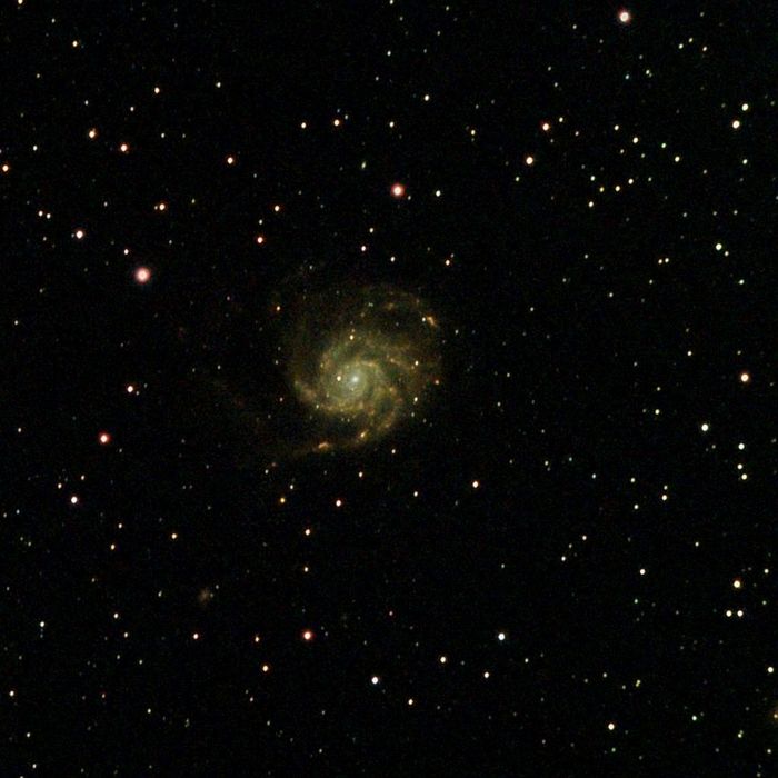 m101