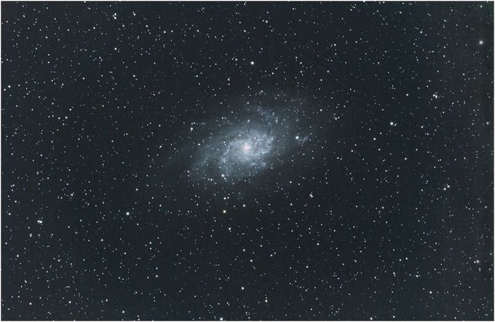 M33 grand champ