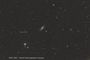 NGC 2841 Gande Ourse