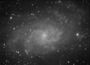 M33