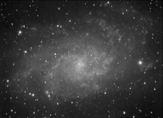 M33