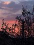 Coucher de soleil