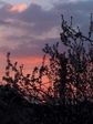 Coucher de soleil