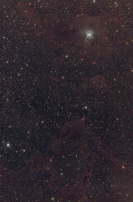 ngc7023