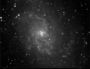 M33