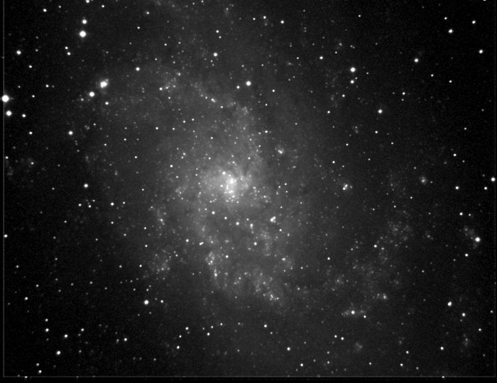 M33