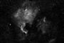ngc7000 et le Pelican