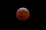 Eclipse suite...