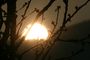 Soleil sur le Vercors suite