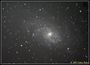 M33