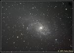 M33