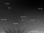 Iridium dans mon arbre