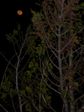 Juste après la Pleine Lune