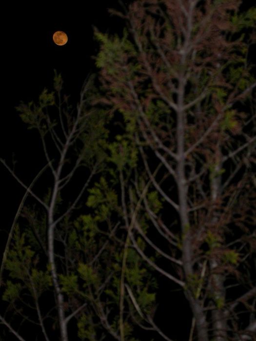 Juste après la Pleine Lune