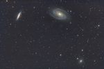 M 81-82