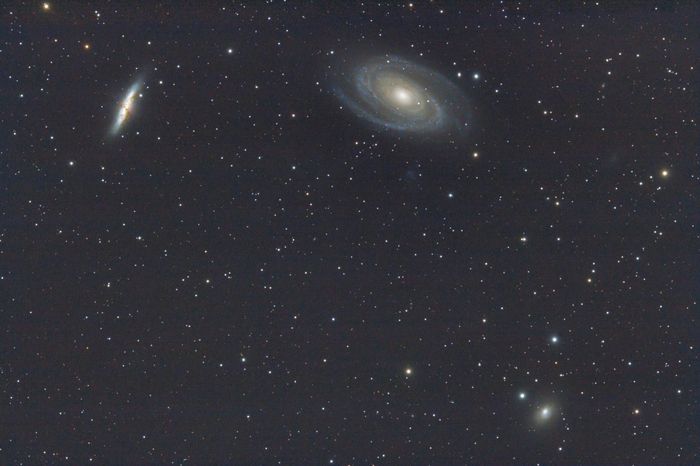 M 81-82