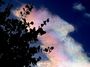 Nuages irisés 05 (détail)