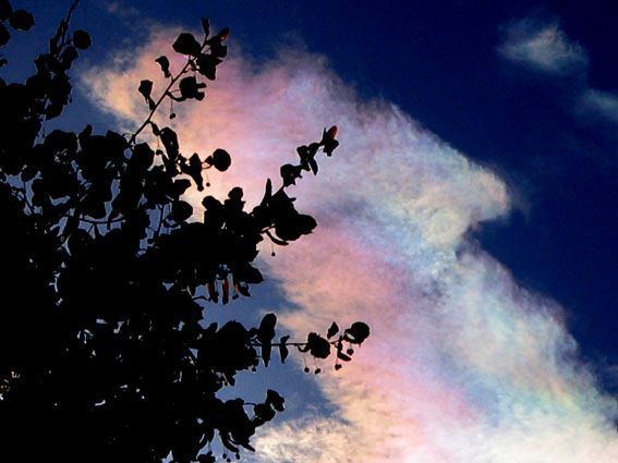 Nuages irisés 05 (détail)