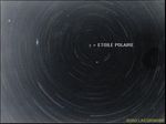 CIRCUM POLAIRE