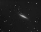 M82 NGC 3034