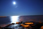 Sagittaire & lune