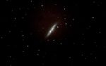 M82