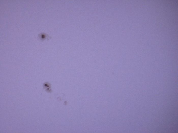 NOAA_776_775