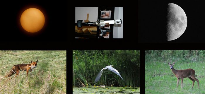 composition