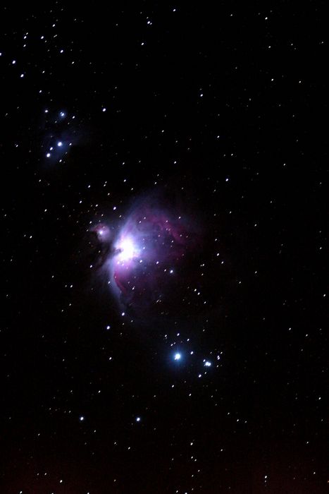 orion