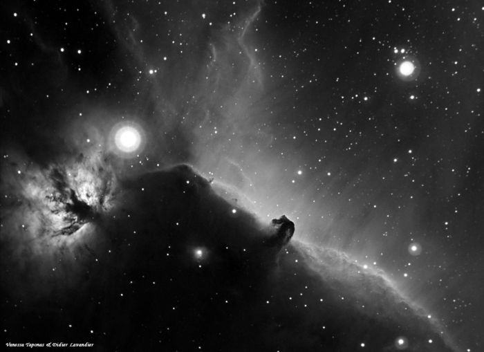 La tête de Cheval - B33 dans IC434