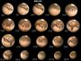 Opposition MARS 2003
