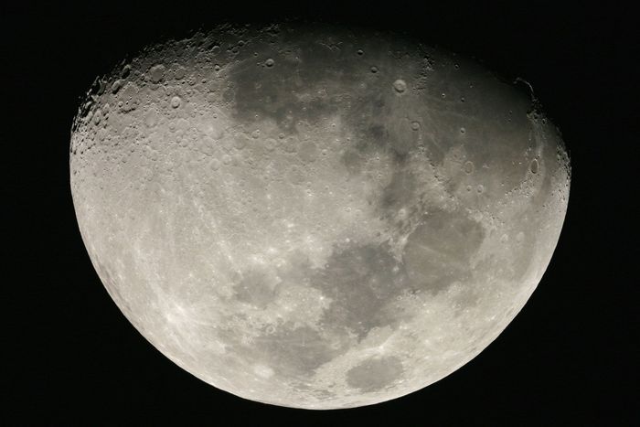 lune APN