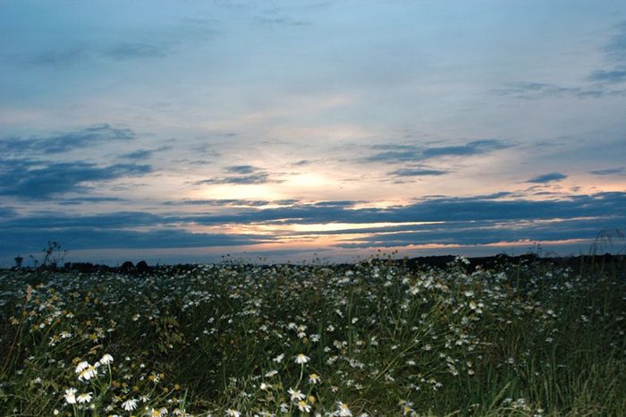soleil couchant B