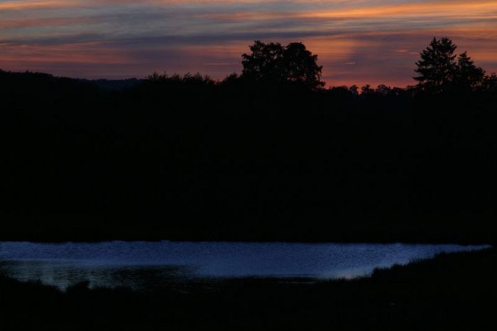 étang du soir