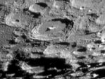 Moretus