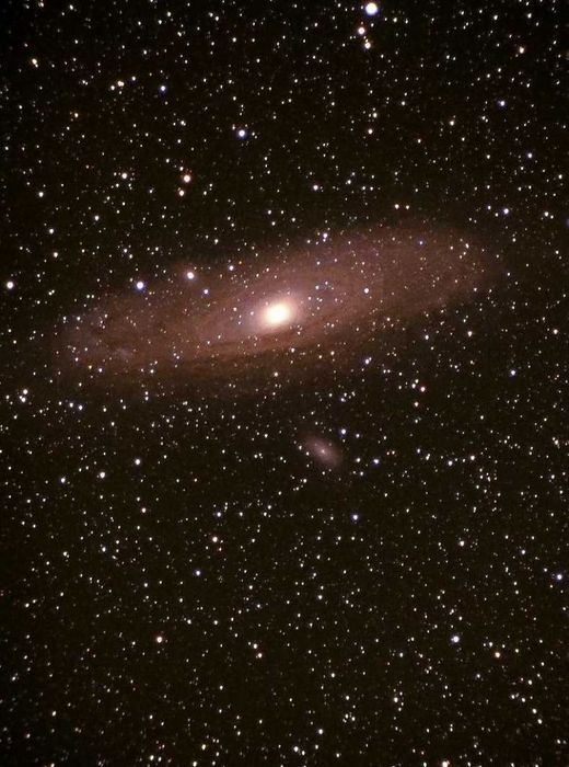 M31