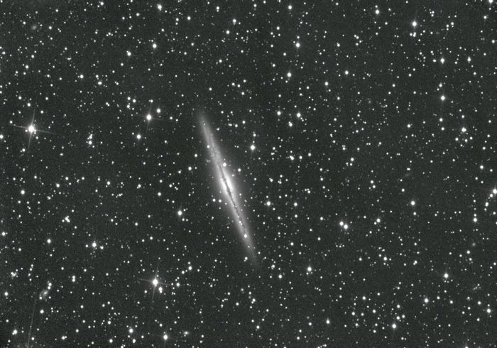 NGC891