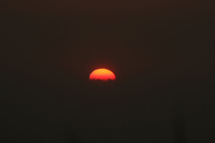 soleil filtré 3