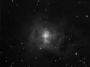 NGC7023 - Nébuleuse de l'Iris