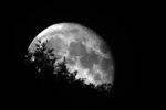 lune