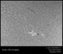 Tache 1054 H-alpha