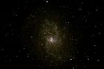 M 33