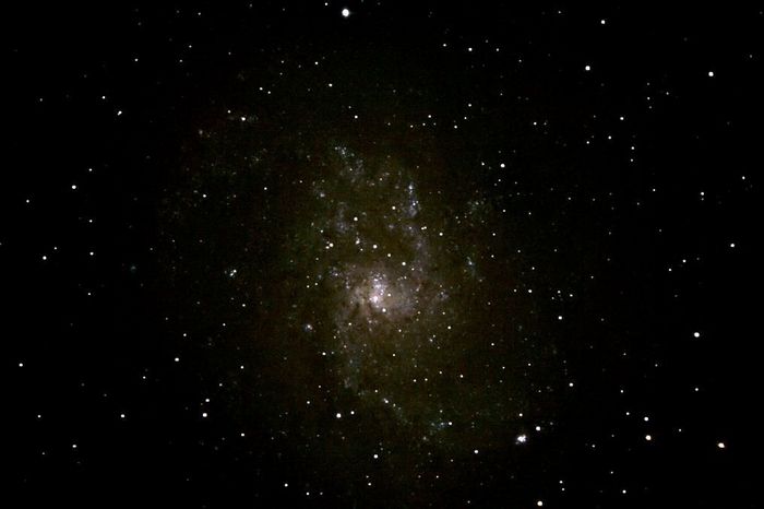 M 33