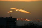Les nuages et l'oiseau