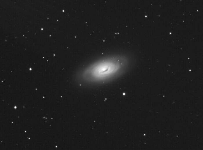 M64