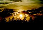 Coucher de Soleil