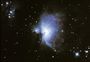 M42