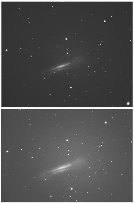 NGC 3628