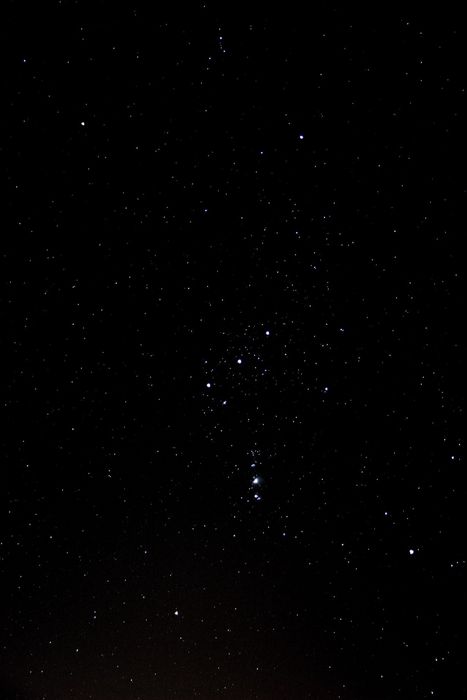 constellation d'Orion